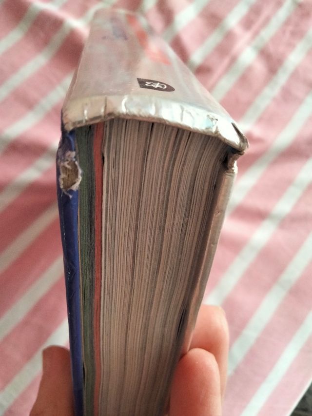 Gerónimo Stilton "viaje en el tiempo 3"