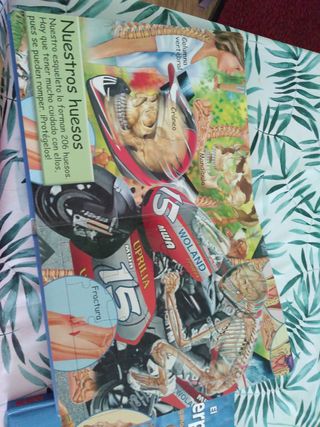 2 Libros de lectura:1 con 8 puzzles