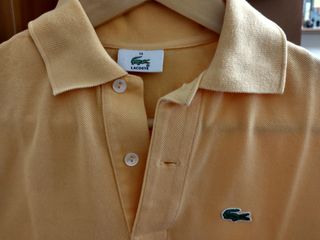 polo Lacoste