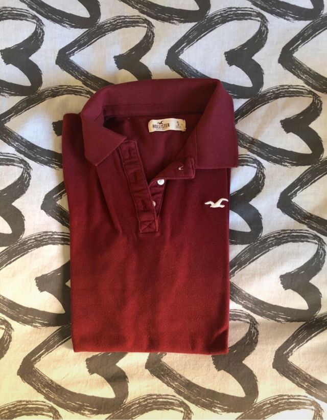 Polo Hollister