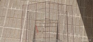 Jaula grande en Ubeda