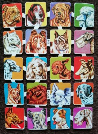 Lámina Cromos Troquelados Españoles BOGA 208