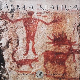 Pack 4 Cd's Nature's Harmony