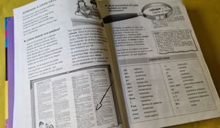 Diccionario escolar (Santillana)