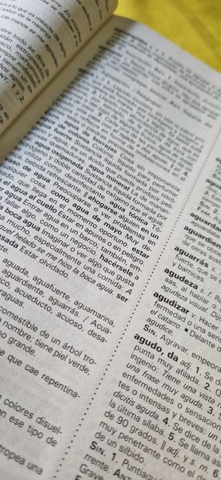 Diccionario escolar (Santillana)