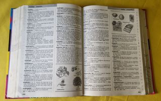 Diccionario escolar (Santillana)