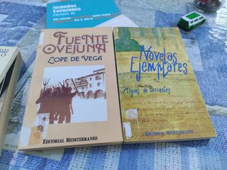 FUENTE OVEJUNA Y NOVELAS EJEMPLARES