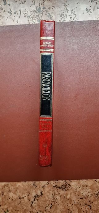 Rascacielos - Richard Martin Stern