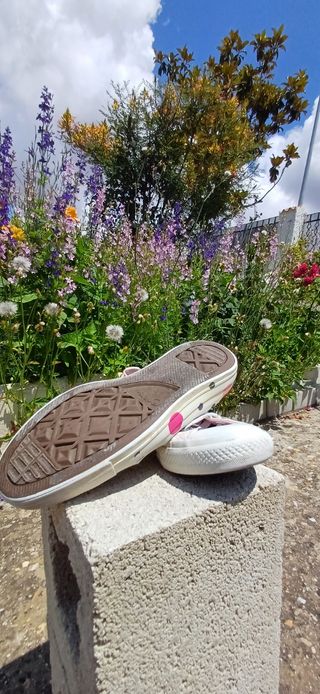 Converse All Strar Chuck Taylor