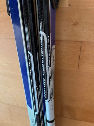 Esquis de fondo skating Fischer