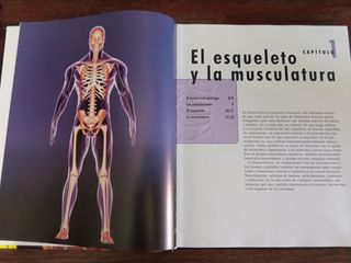 El cuerpo humano. Órganos. Sistemas. Funciones