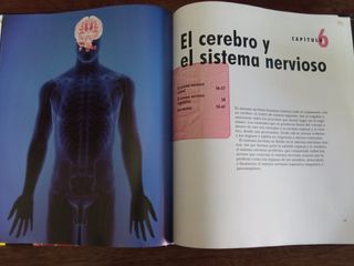 El cuerpo humano. Órganos. Sistemas. Funciones