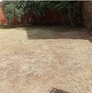 DESBROZES Y LIMPIEZAS DE PARCELAS