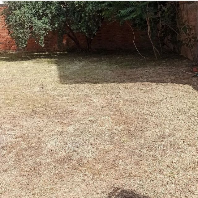 DESBROZES Y LIMPIEZAS DE PARCELAS