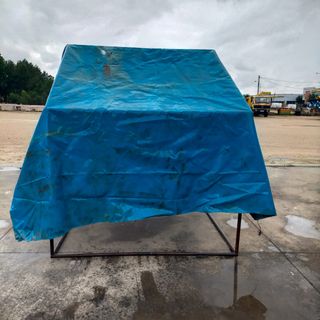 Carpa