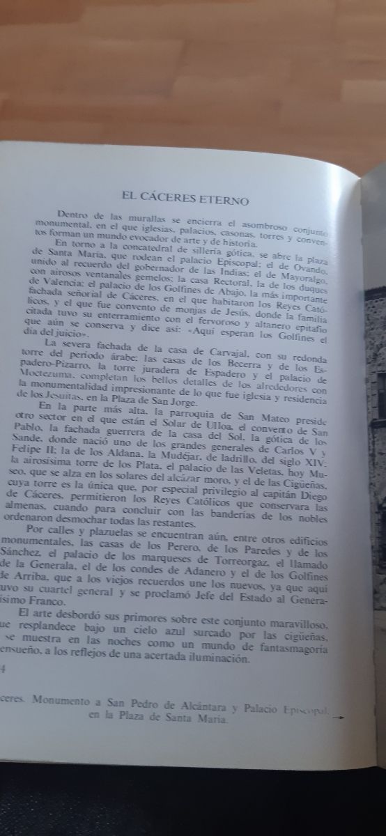 Càceres, Conde de Canillero