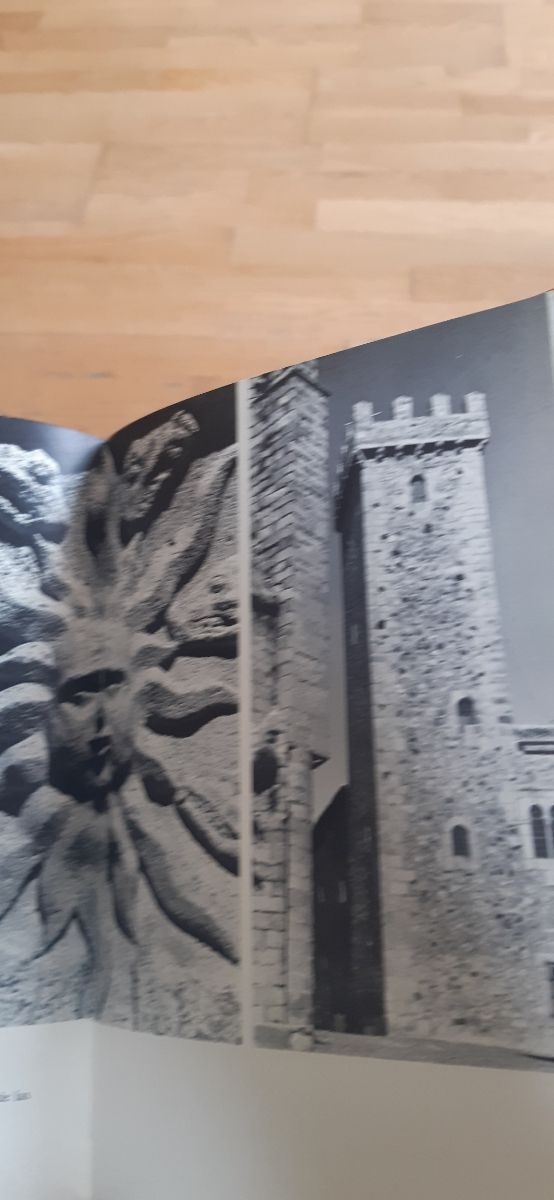 Càceres, Conde de Canillero