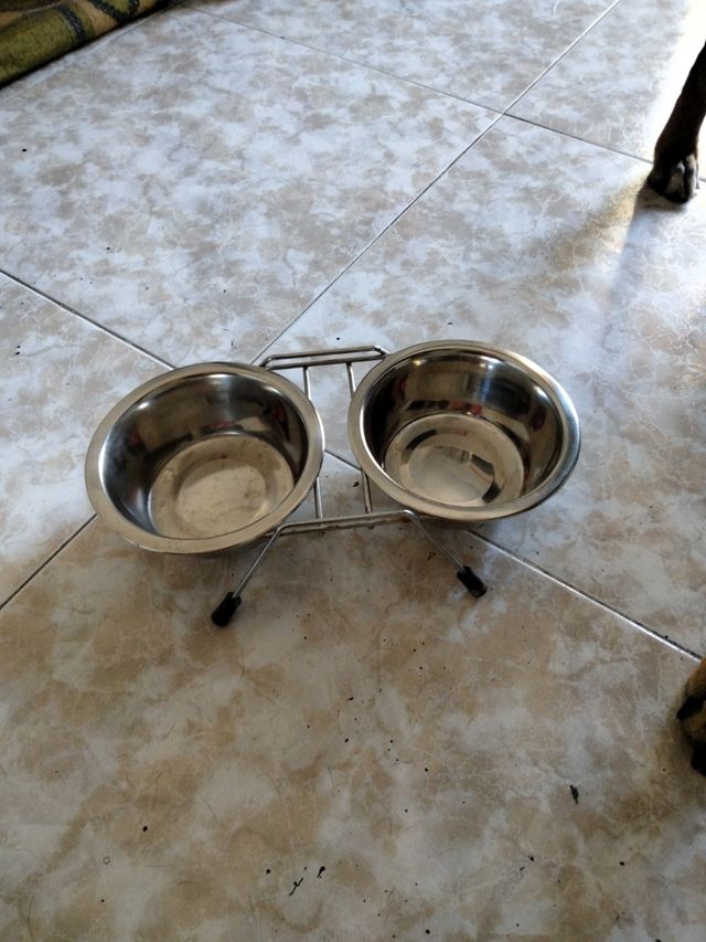 COMEDERO BEBEDERO CON SOPORTE Entrega en mano