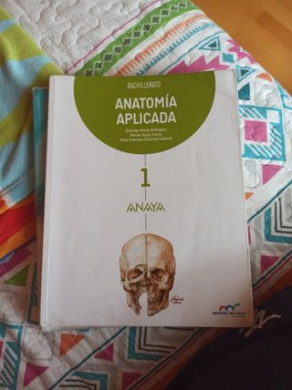 Bachiller : Editorial Anaya