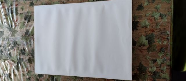 Pagine di giornale '800