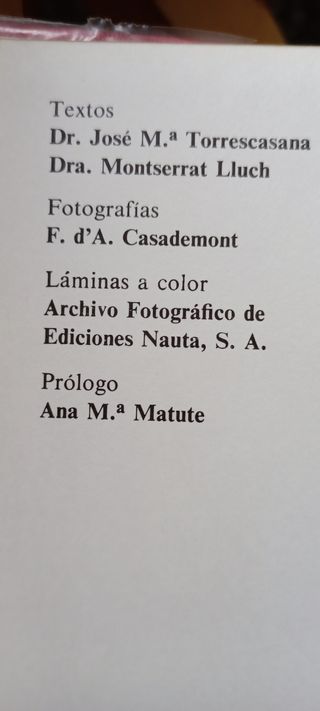El bebé y el niño