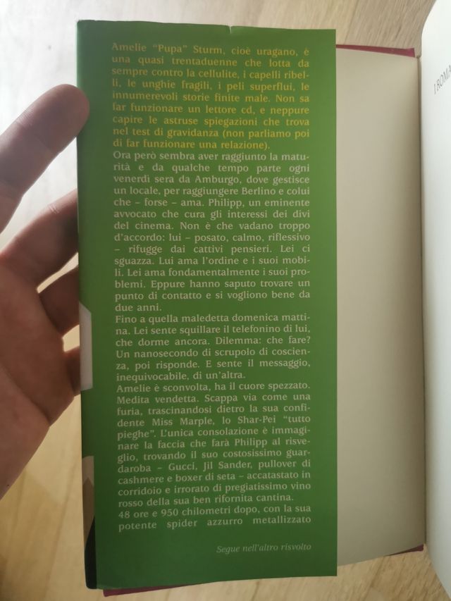 Romanzo "Il mio cuore ha fatto crack"