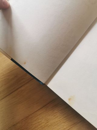 Libro Il "Che" d'Assisi, Gianni Padoan