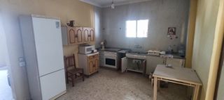 Esplendida finca de olivar a riego con casa y pisc