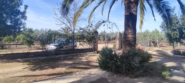 Esplendida finca de olivar a riego con casa y pisc