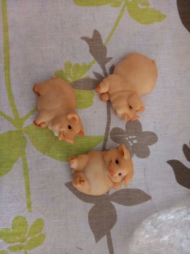 set tre calamite maialini