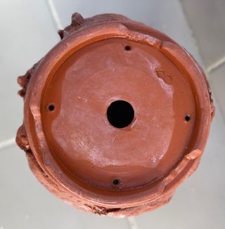 Motozo Masterpiece, bonsai, Japón