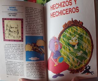 Libro biblioteca los jóvenes castores Walt Disney
