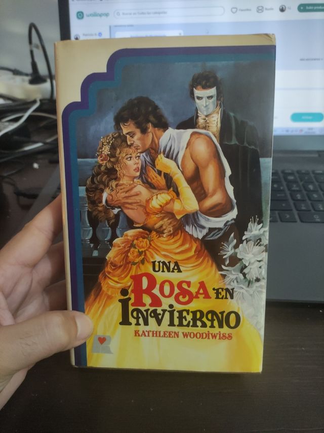 Una rosa en invierno