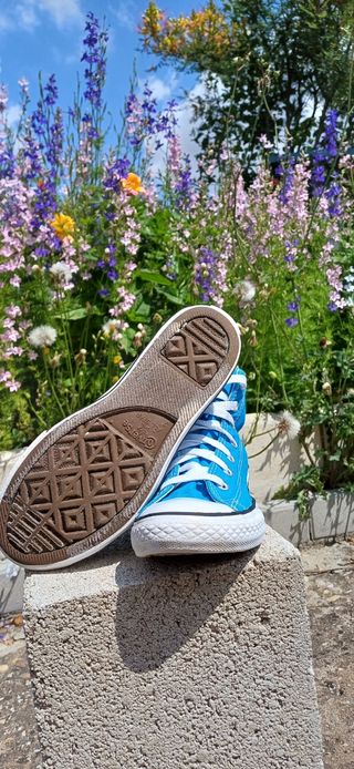 Converse All Star Chuck Taylor