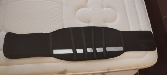 Cintura del conducente