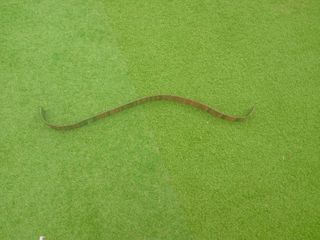 Patas de hierro fundido