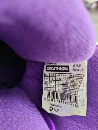 Carmilla (Clásicos ilustrados) (Spanish Edition)