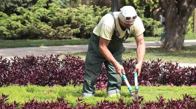 Jardinero a domicilio