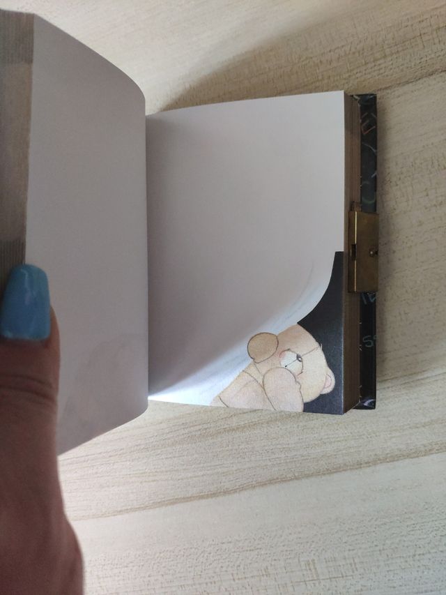 Mini Diario, pasta dura.