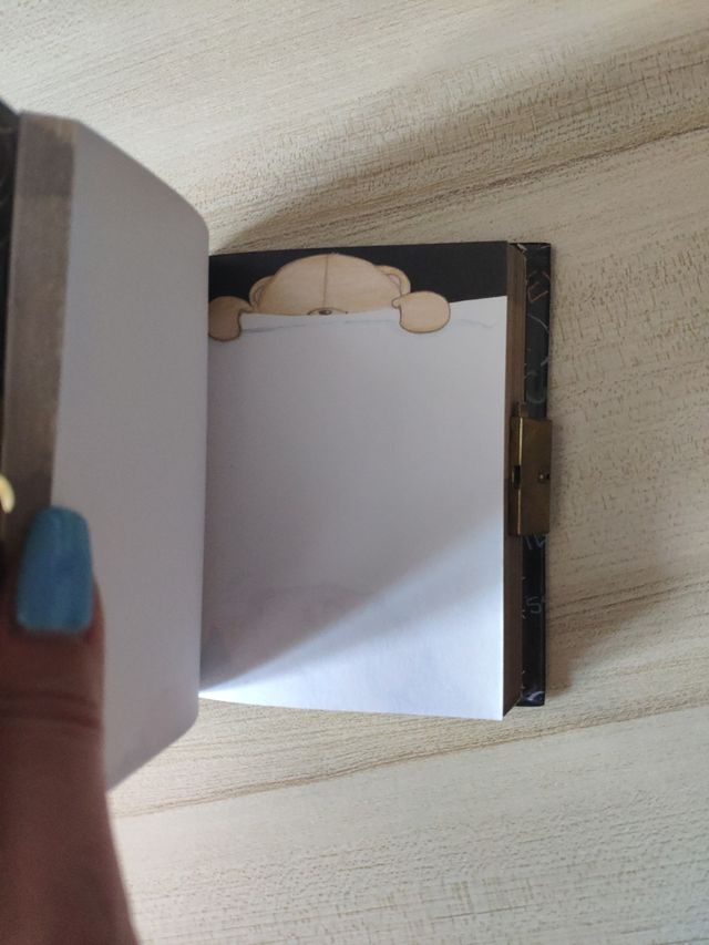 Mini Diario, pasta dura.