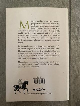 libro el chico de la flecha