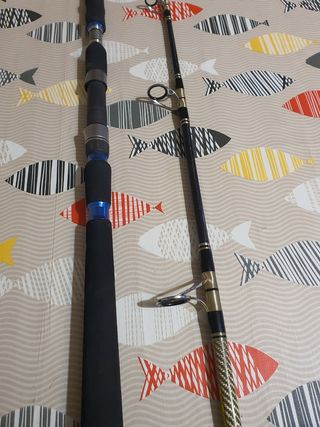 CAÑA COLMIC SNAPPER JIGGING 250