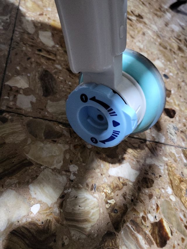 estor, (montante color amarillo ocre)