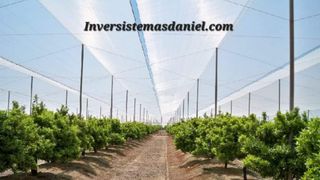 Invernaderos Tlf 642874896.Daniel