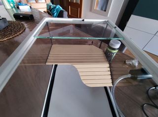 Kit Completo Tortuga + Terrario