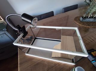 Kit Completo Tortuga + Terrario