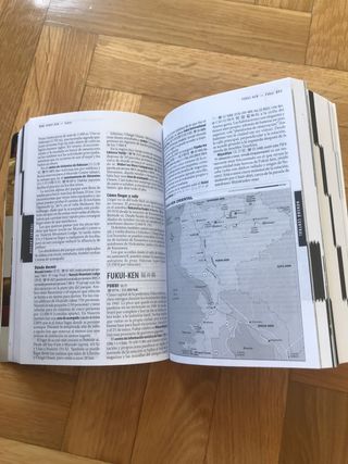 Guia de Viaje Lonely Planet Japon