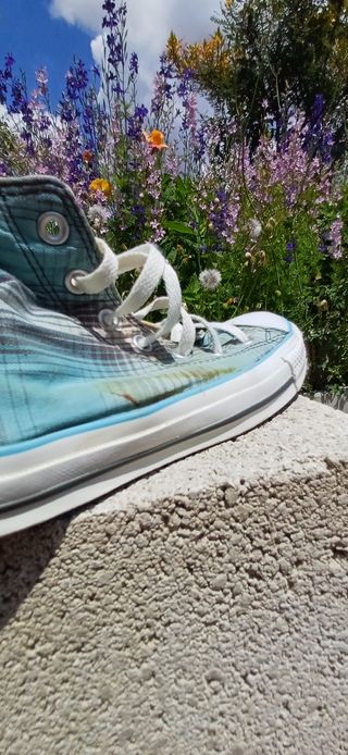 Converse All Star Chuck Taylor