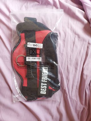 Arnés para mascotas