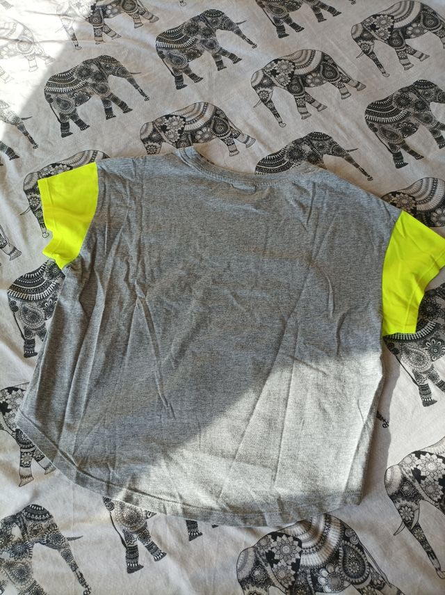 Camiseta gris de champion